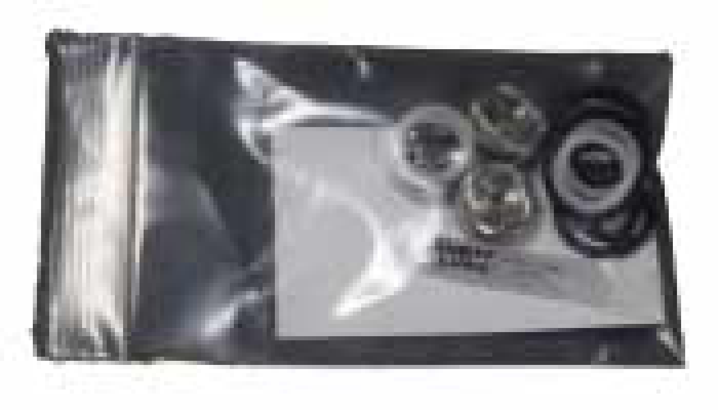 PUMP REBUILD KIT B | Kaivac, Inc.