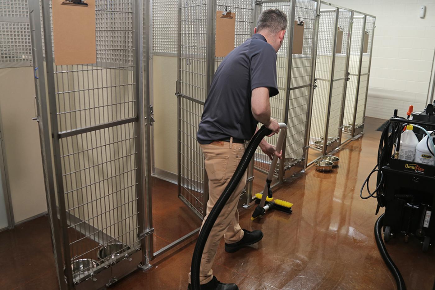 cleaning kennels