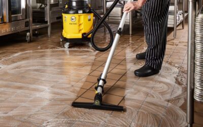 Restaurant Cleaning to Prevent Pests